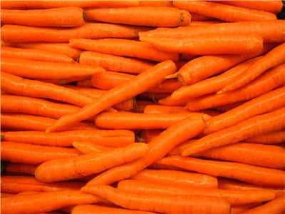 Carrot Vegetable