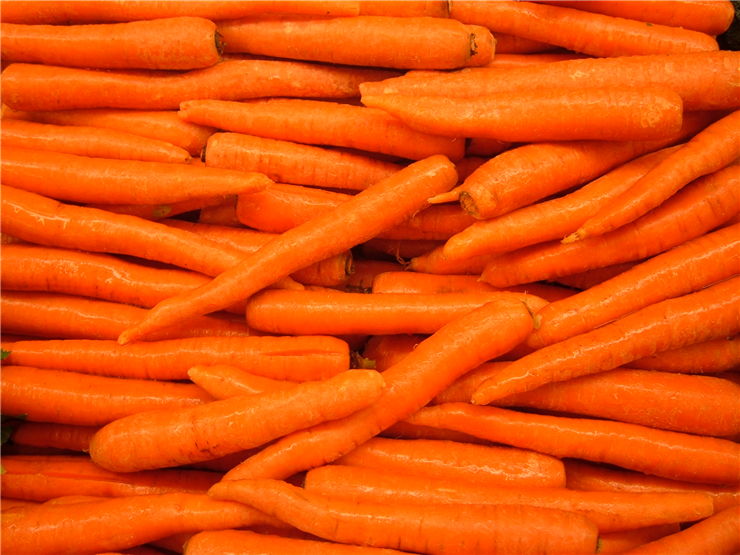 Carrot Vegetable