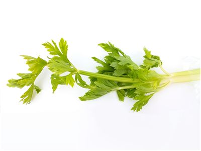 Celery