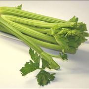 Celery Vegetable