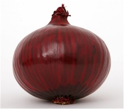 Onion Red