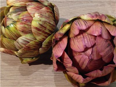 Artichoke Vegetable Benefits