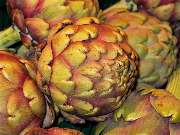 Artichoke Healthy Vegetable
