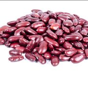 Bean Kidney