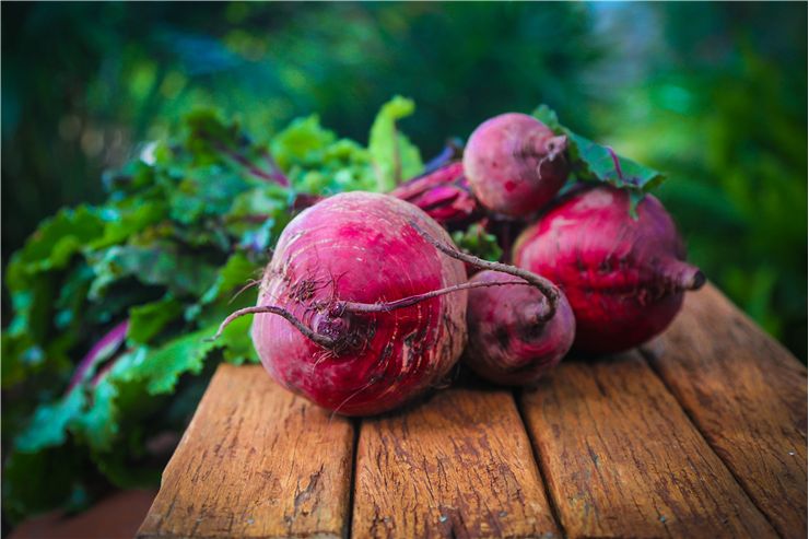 Beetroot Vegetable Benefits