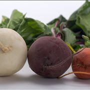 Beetroot Types