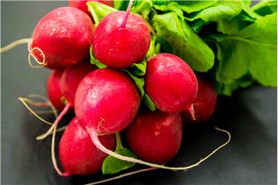 Radishes Vegetable