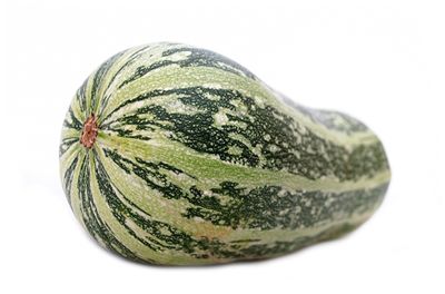 Zucchini Squash Gourd