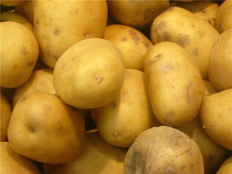 Potato Vegetable