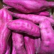 Sweet Potato Purple