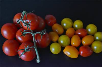 Tomato Different Types